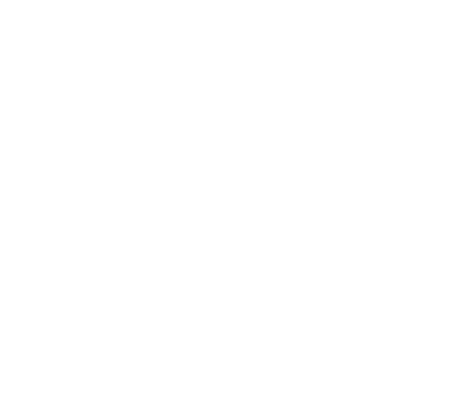 ic-advantage-sector-01