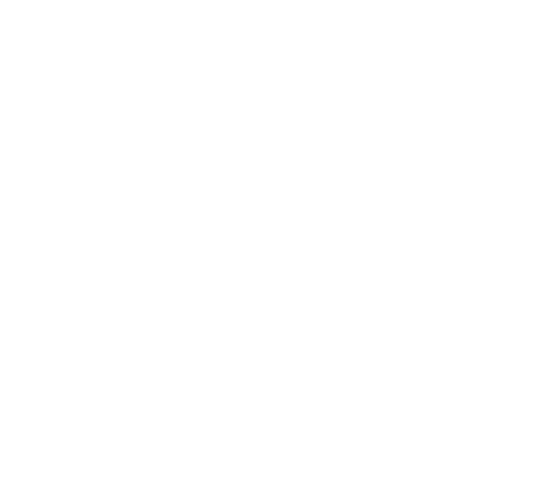 ic-advantage-sector-04